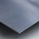 Lone Tree Metal print