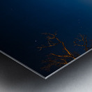 Tennessee at night Metal print