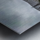 Moody Colorado Metal print