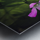 Flowers  and bee Metal print