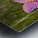 Pink Flowers Metal print