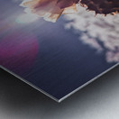 Lens Flare Cactus Metal print