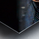 Meal Time Metal print