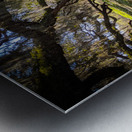 Reflections Metal print