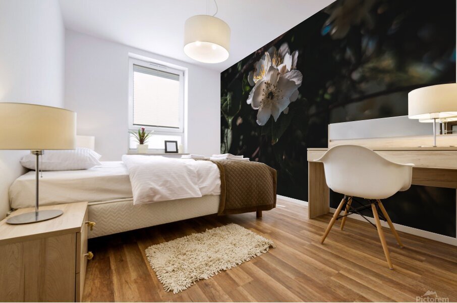 Mock Orange Mural print