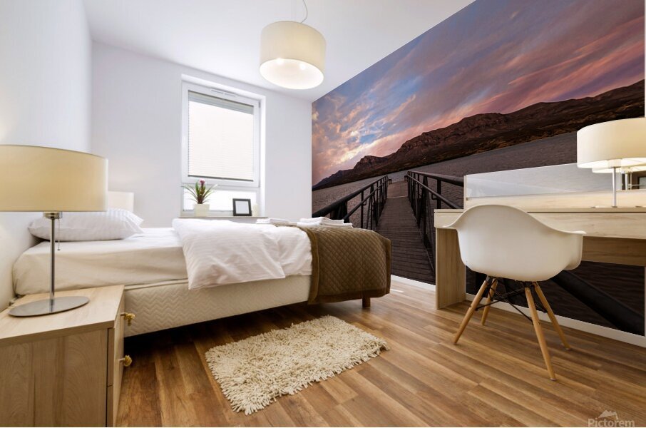 Caballo State Park Mural print