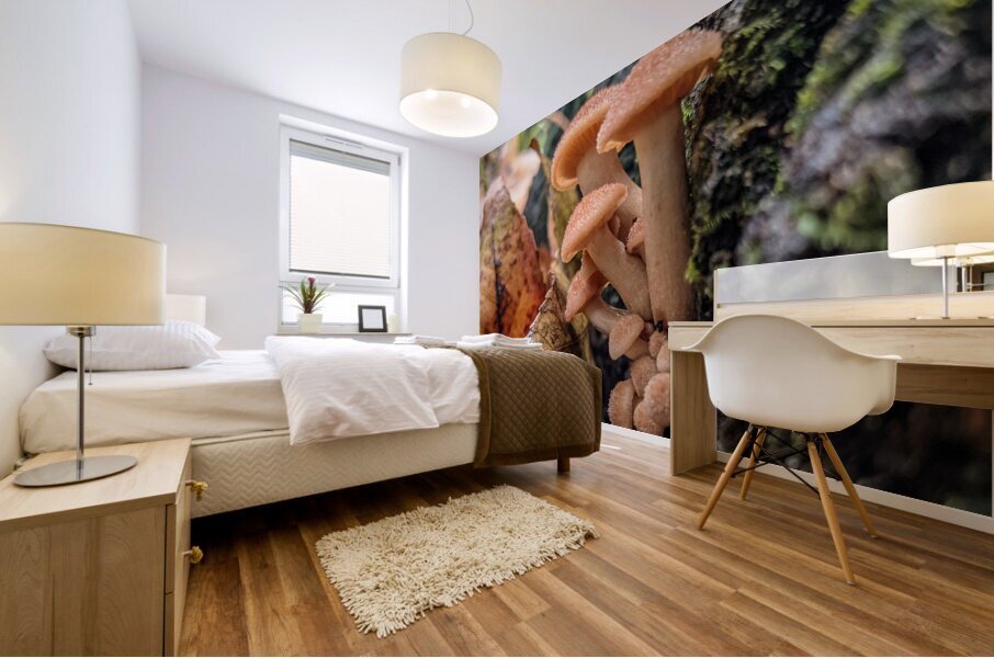 Orange Mushrooms Mural print