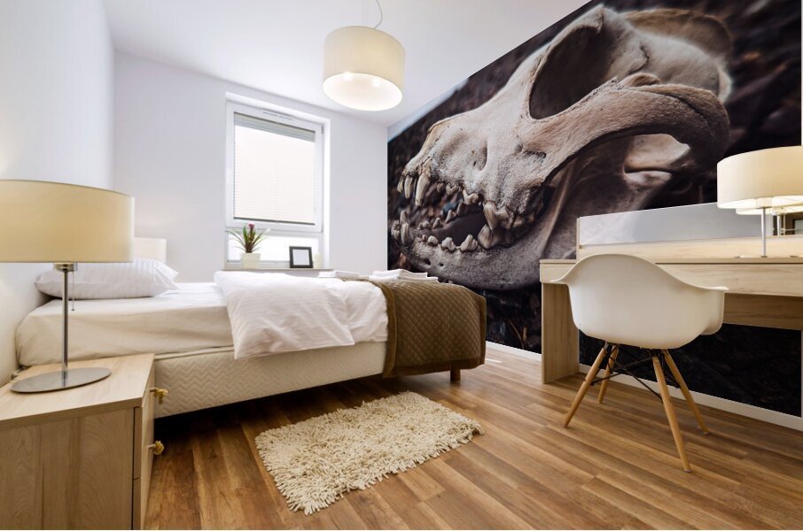 Skull Mural print