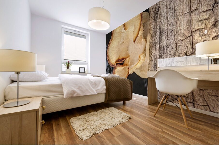 Water Mushroom Mural print