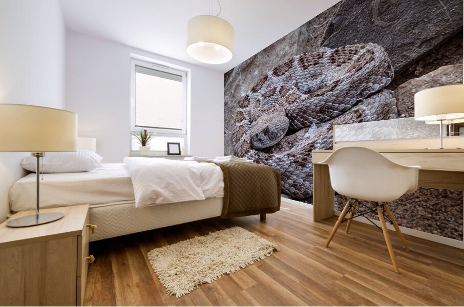 Rattle Snake Mural print