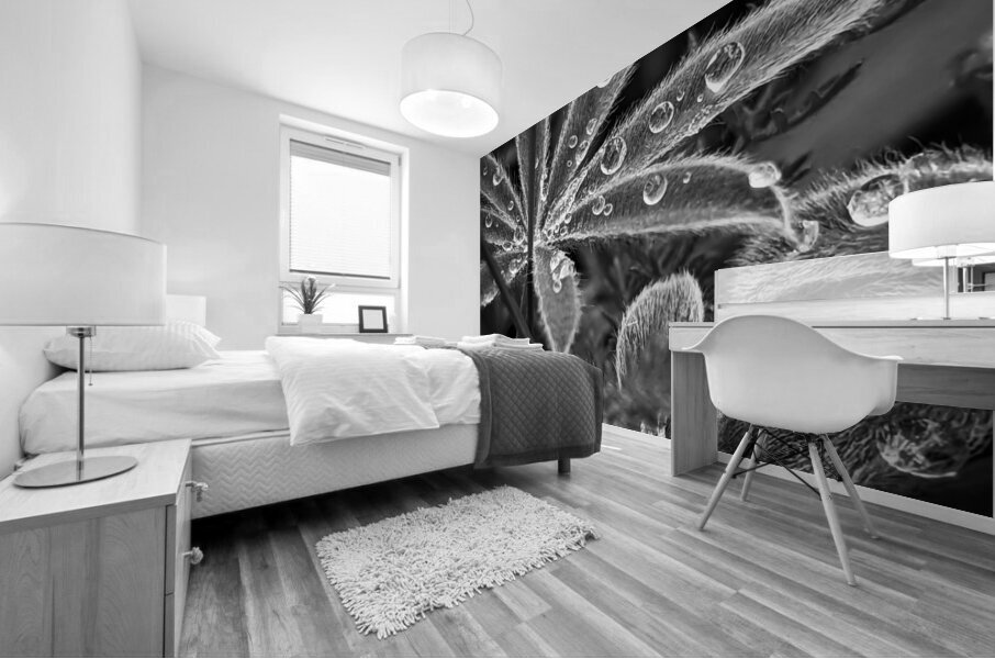 Fuzzy Rain Mural print