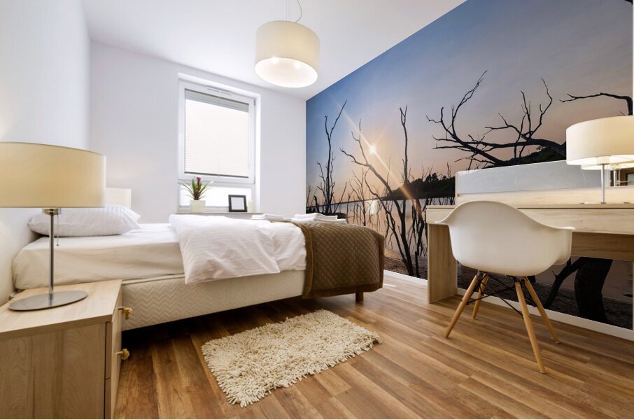 Sunset Lake Mural print