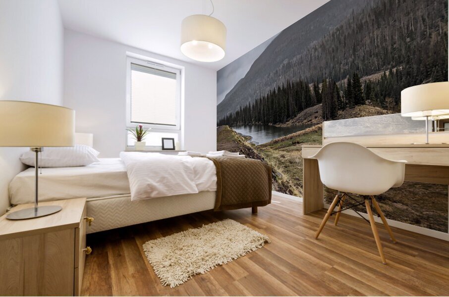 Colorado Mural print