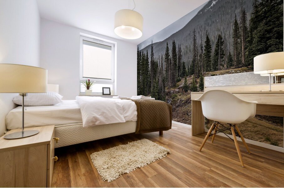 Moody Colorado Mural print