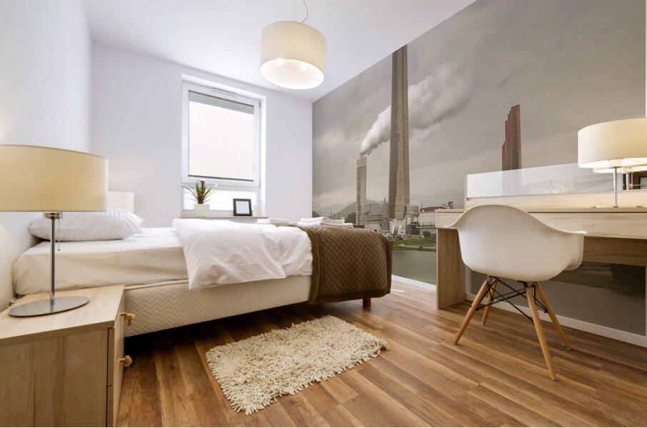 Industrial Beauty Mural print