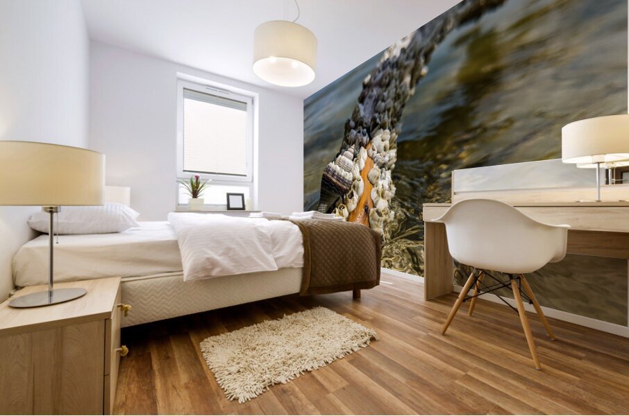 Reclaimed Mural print