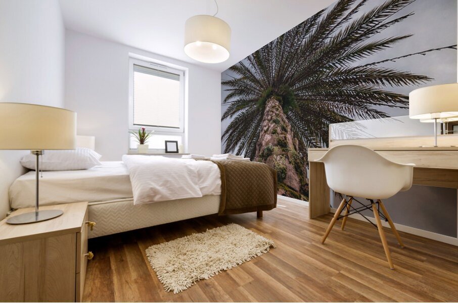 Palm Tree Mural print