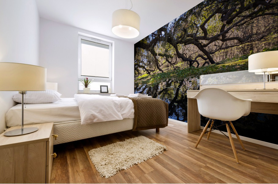 Reflections Mural print