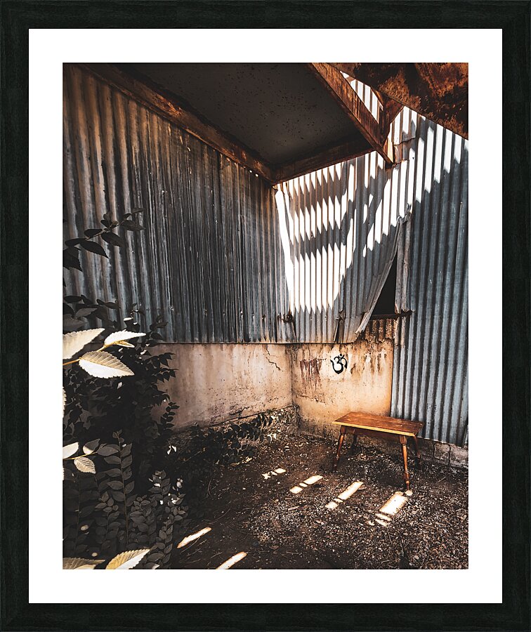 Finding Peace Picture Frame print