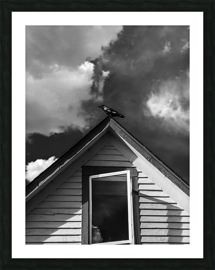 Black Bird on roof Picture Frame print