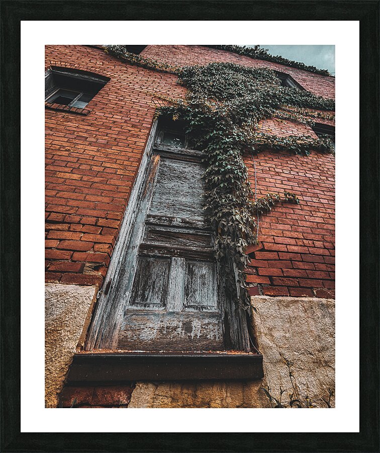 Door Vine Picture Frame print