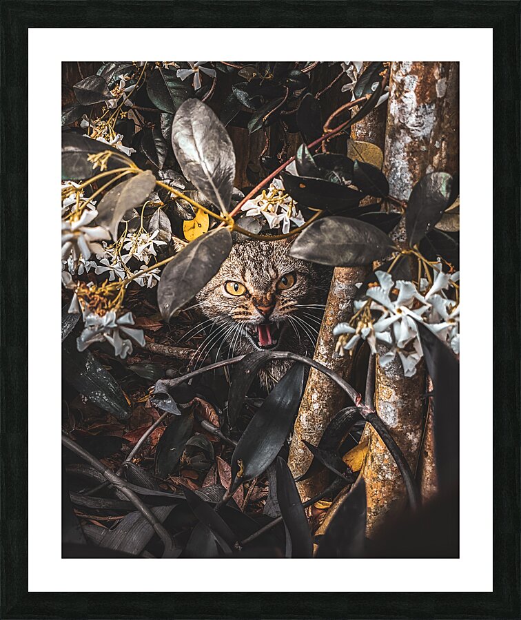 Momma Cat Picture Frame print