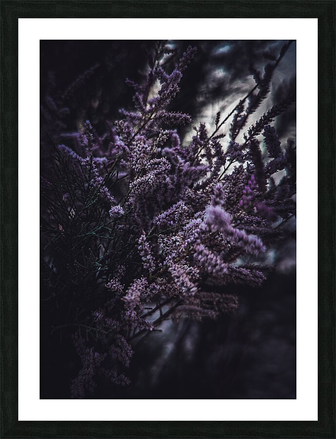 Purple Flowers Picture Frame print