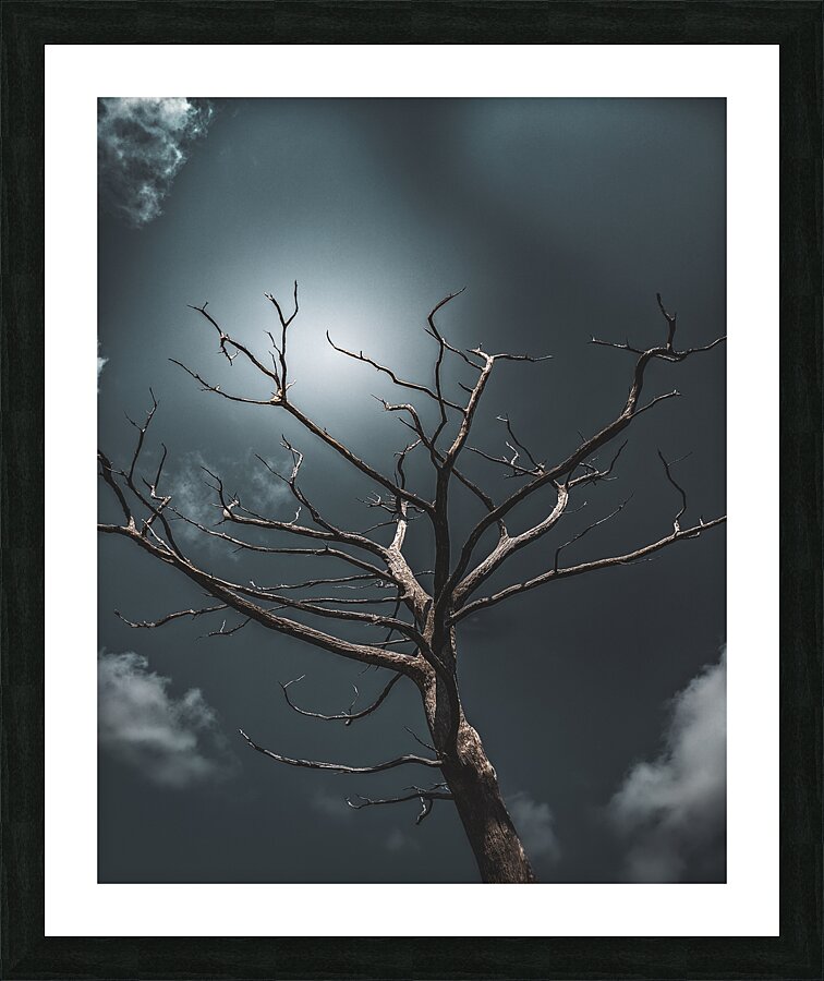 Dead Tree Picture Frame print