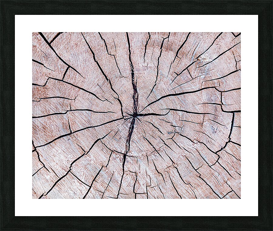 Tree Fingerprint Picture Frame print