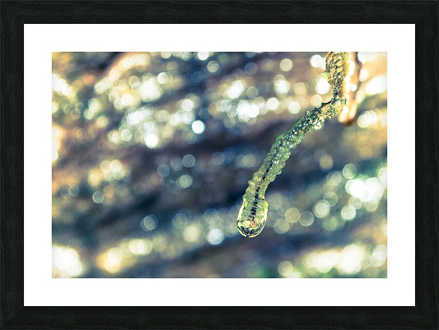 Beautified Slime Picture Frame print