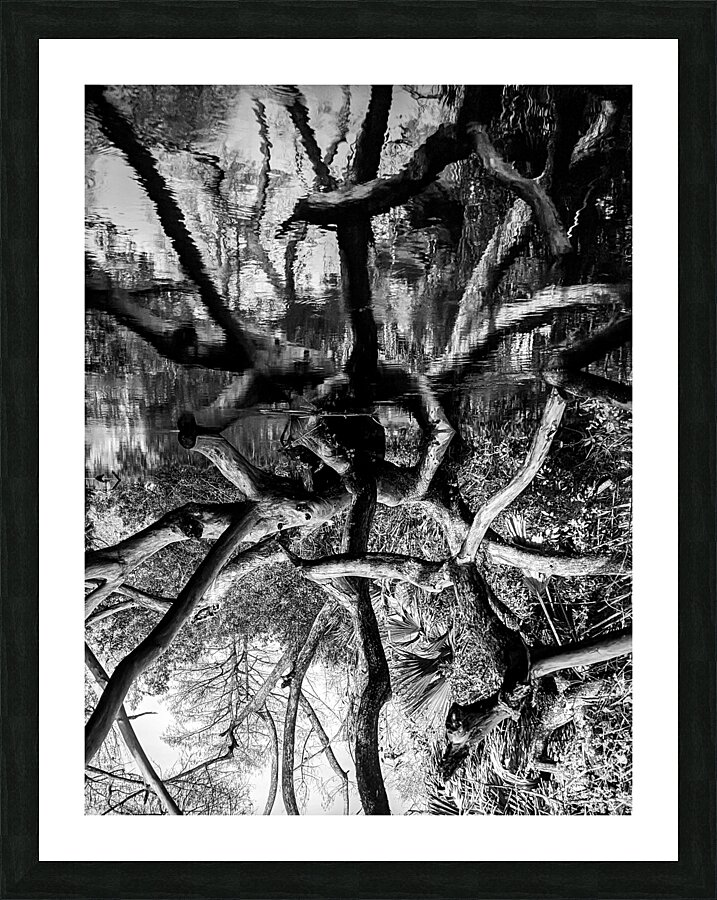 Black and White Reflection Picture Frame print