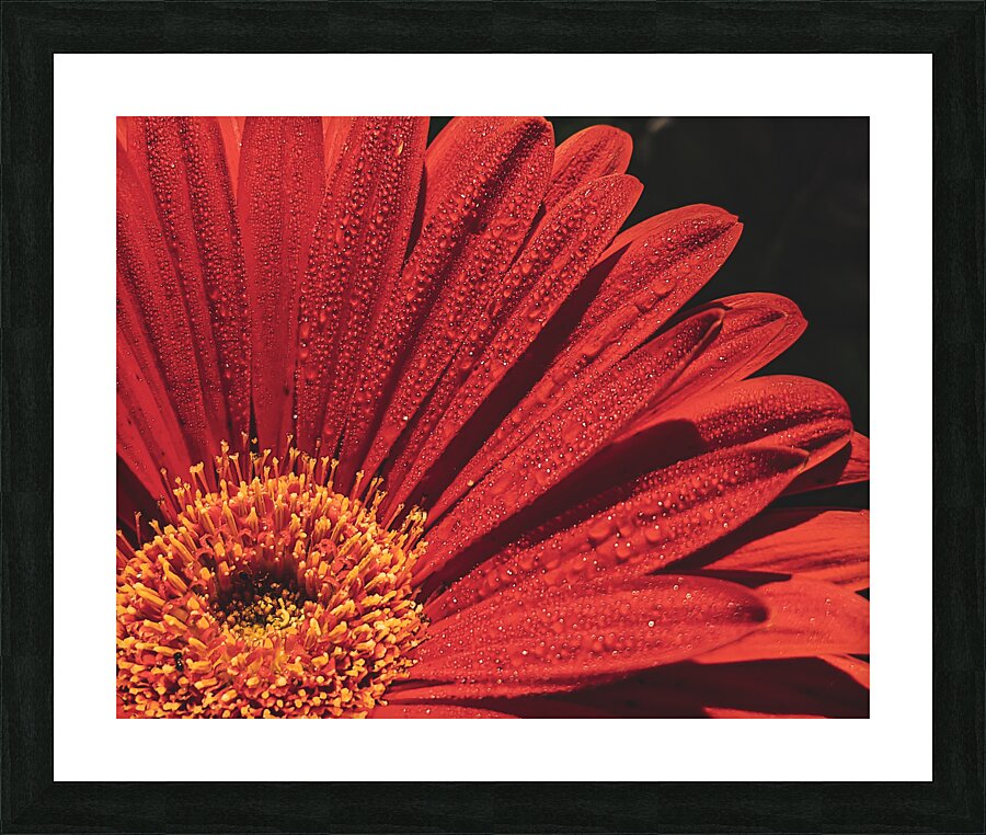 Flower Picture Frame print
