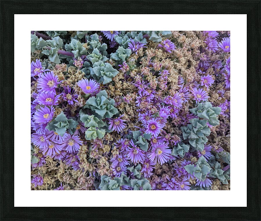 Pastel Plants Picture Frame print