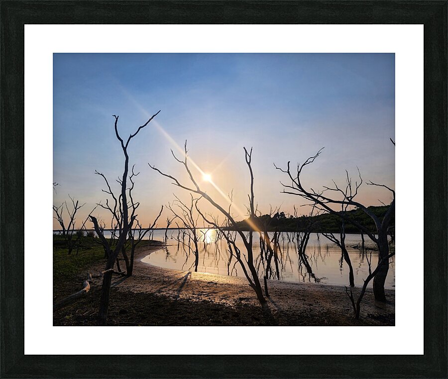 Texas Reflections Picture Frame print
