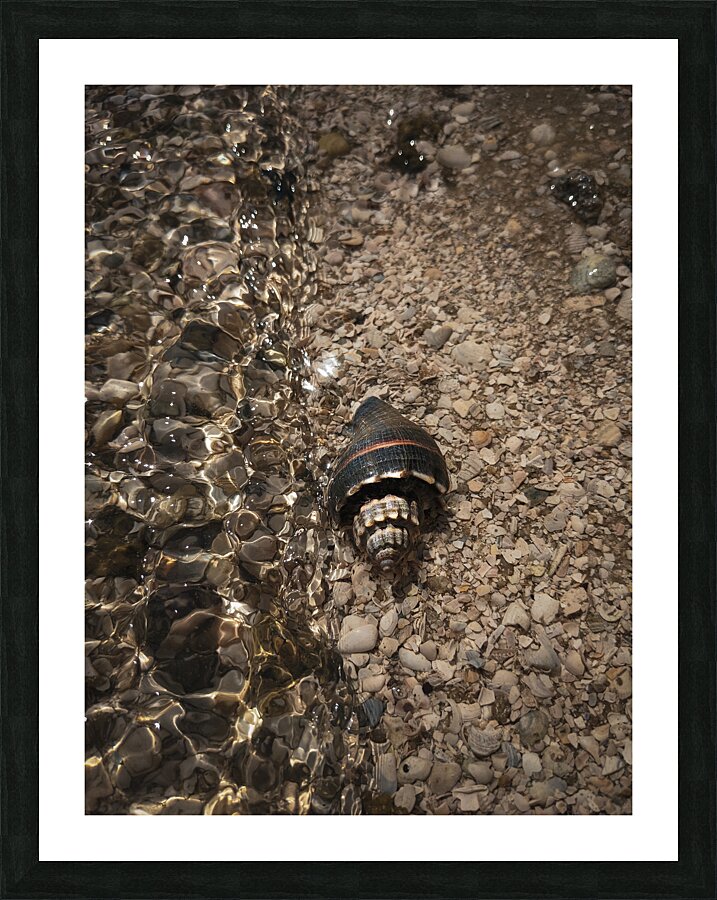 Before the wave Picture Frame print