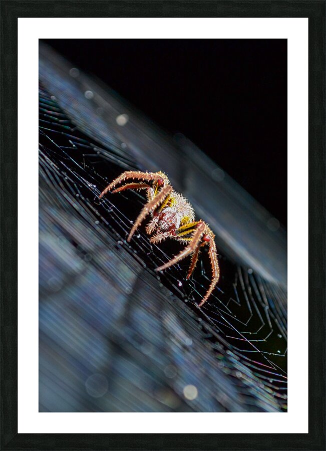 Meal Time Picture Frame print