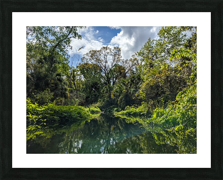 Paradise Picture Frame print
