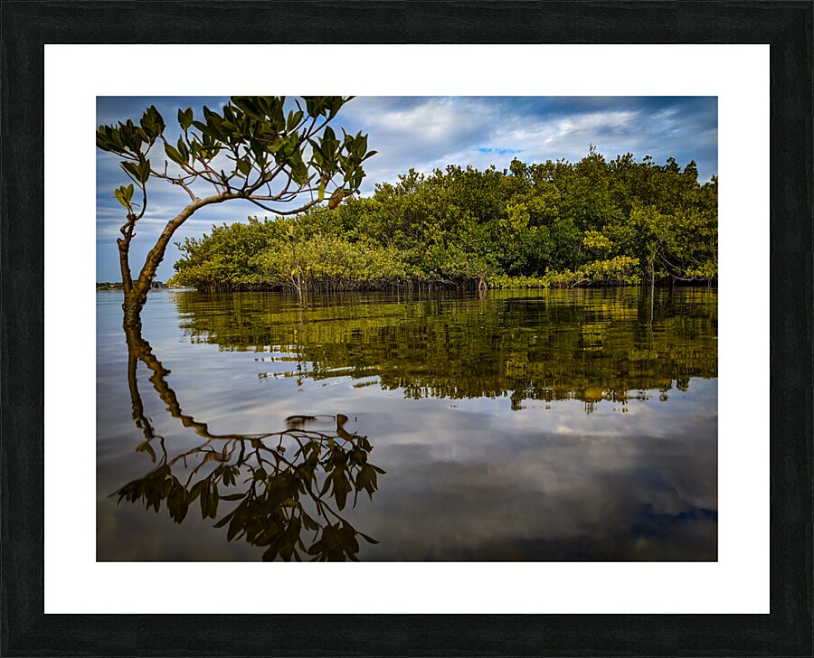Island Time Picture Frame print