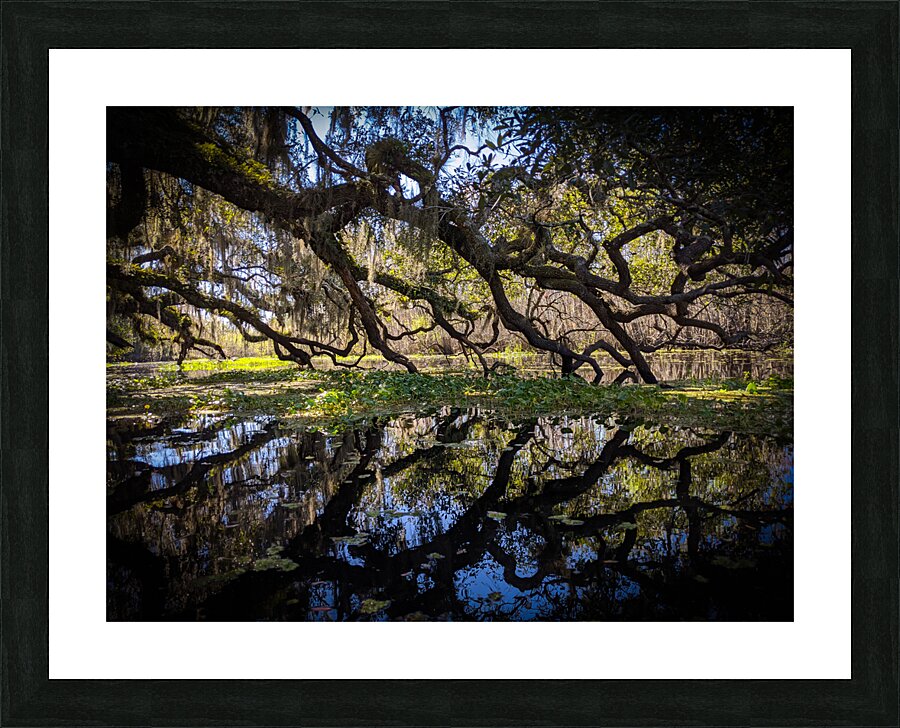 Reflections Picture Frame print
