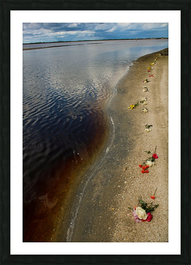 floral river Picture Frame print