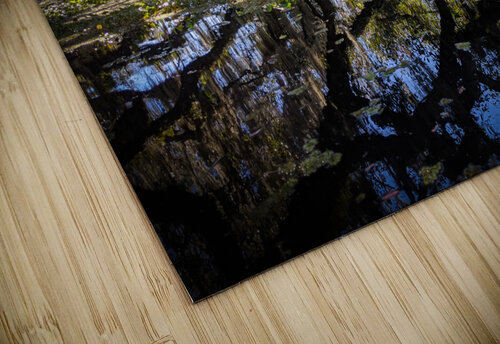 Reflections LNC PHOTOGRAPHY puzzle