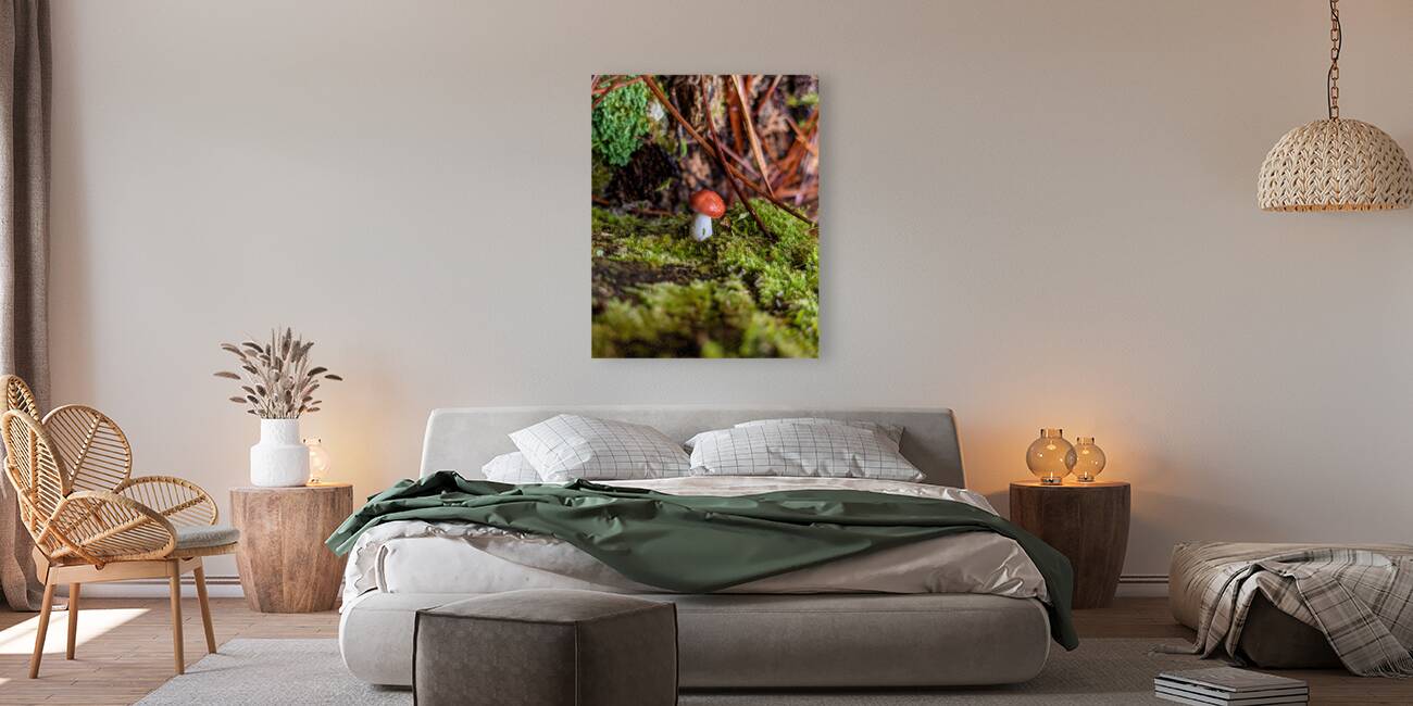 Tiny Mushroom Reproduction