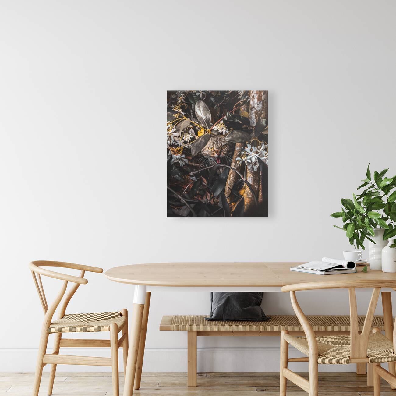 Momma Cat Reproduction