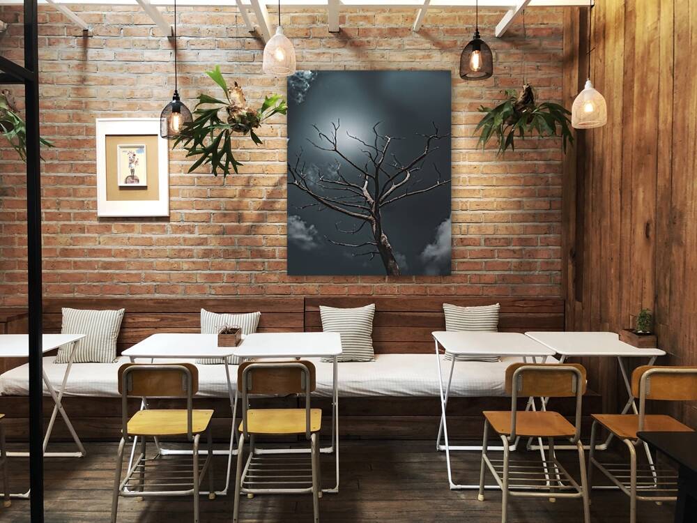 Dead Tree Reproduction