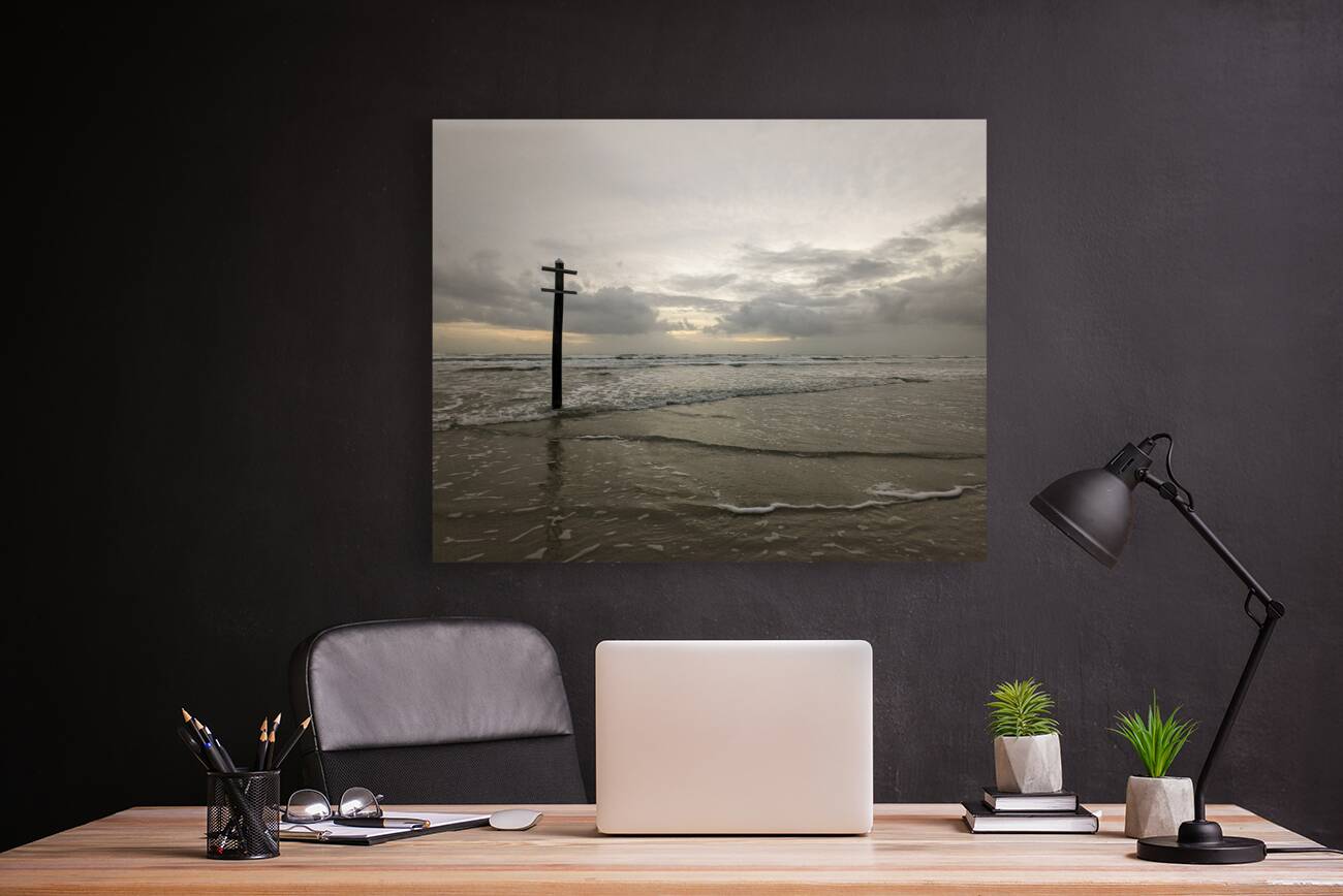 Ocean Pole Reproduction