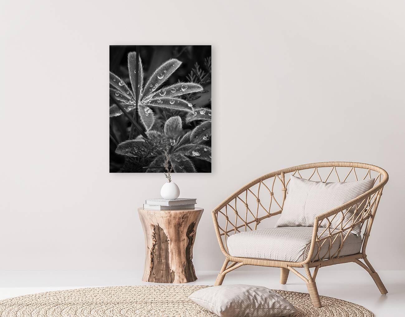 Fuzzy Rain Reproduction