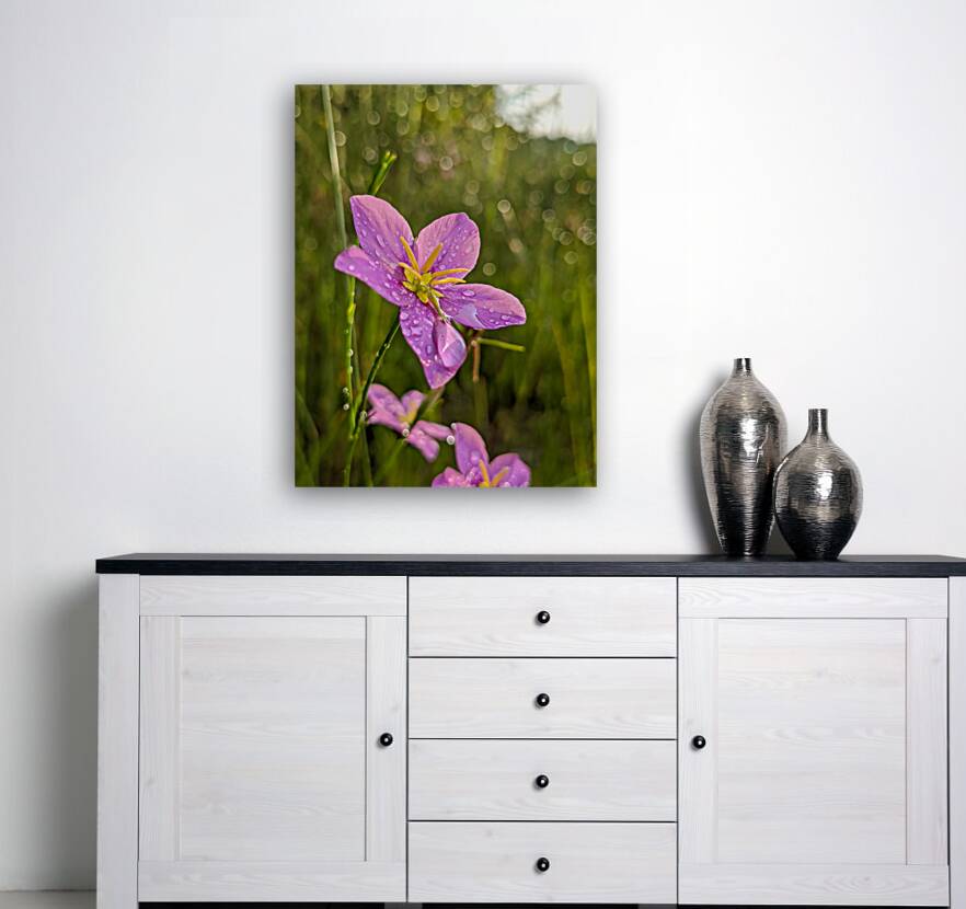 Pink Flower Reproduction