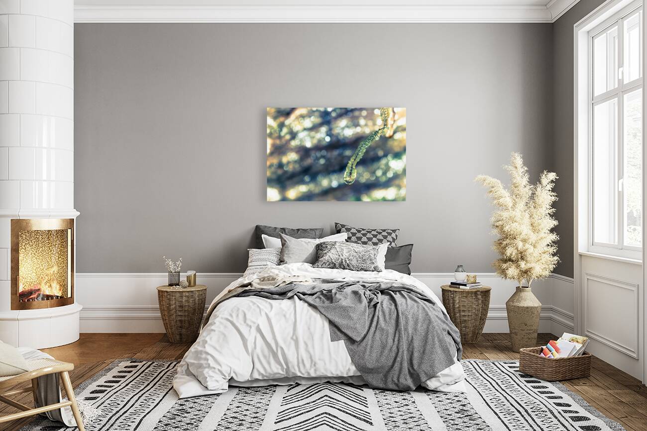 Beautified Slime Reproduction