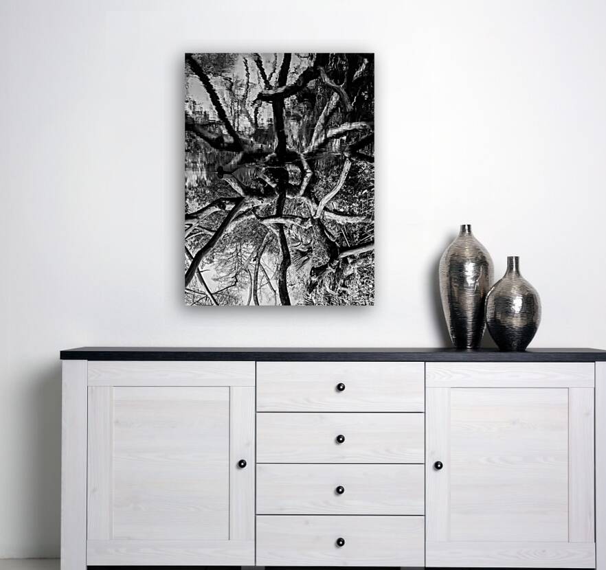 Black and White Reflection Reproduction