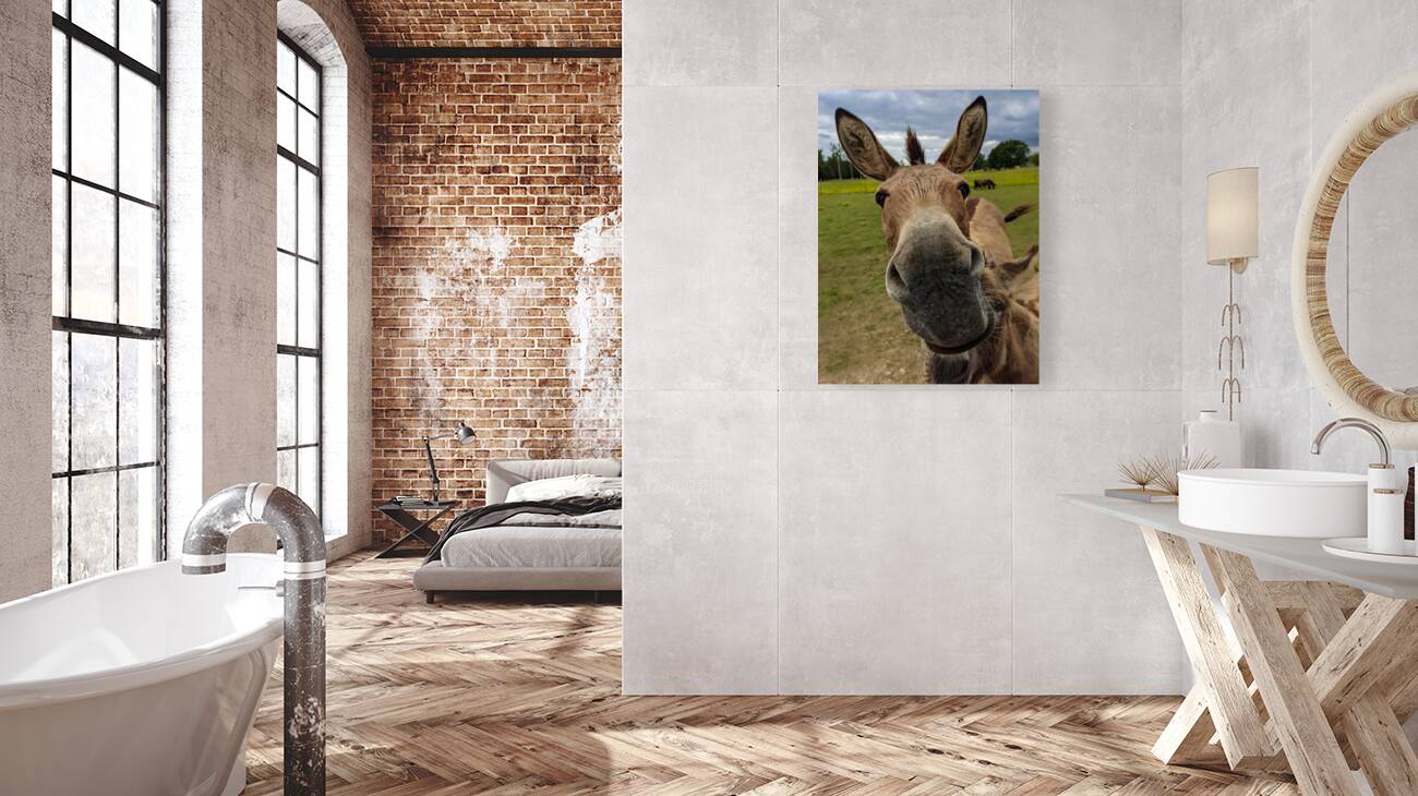 Funny Donkey Reproduction